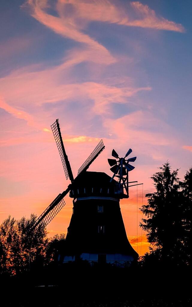 Beitragsbild
